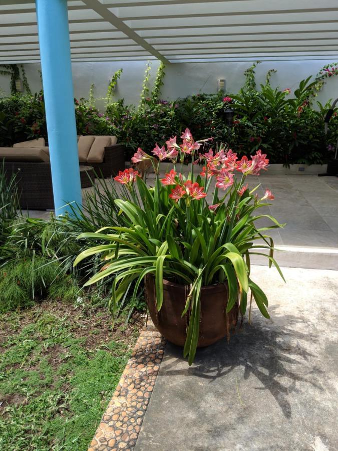Casa Xcanatun เมริดา ภายนอก รูปภาพ